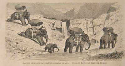 Caravan of Elephants Crossing the Mountains of Laos, print made by E. Bocourt, illustration from 